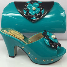 Load image into Gallery viewer, Appliques Shoes And Bag Set