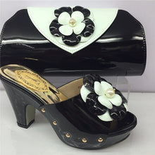 Load image into Gallery viewer, Appliques Shoes And Bag Set