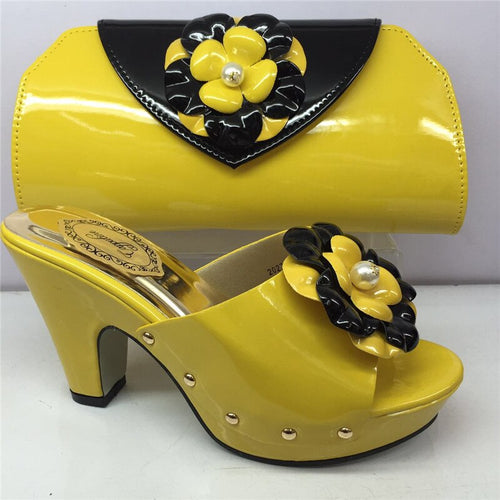 Appliques Shoes And Bag Set