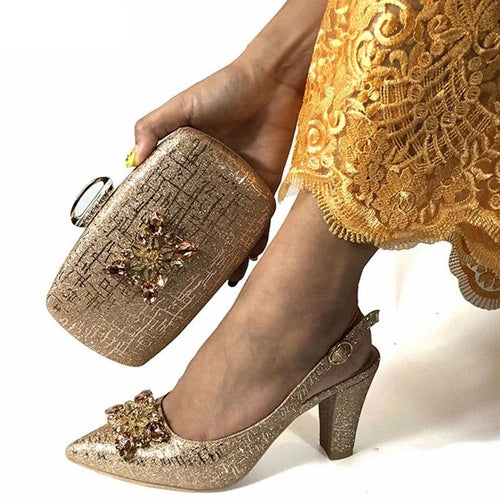 Fashionable Italian Shoes and Bag Set