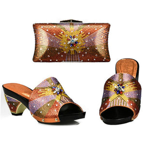 Fashionable Handbag and Shoe Set